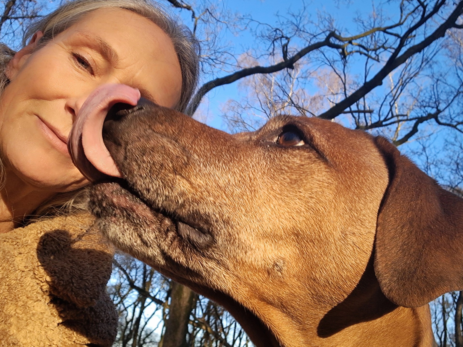 064f9228-b683-4d60-a0f7-45b9ebefef17